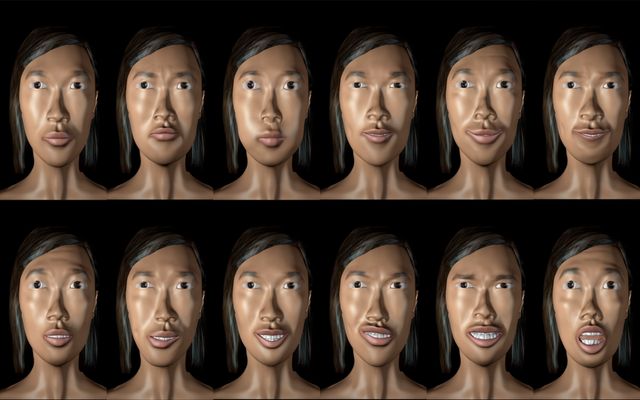 Fourteen expressions