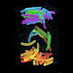 gfm2021_square.jpg