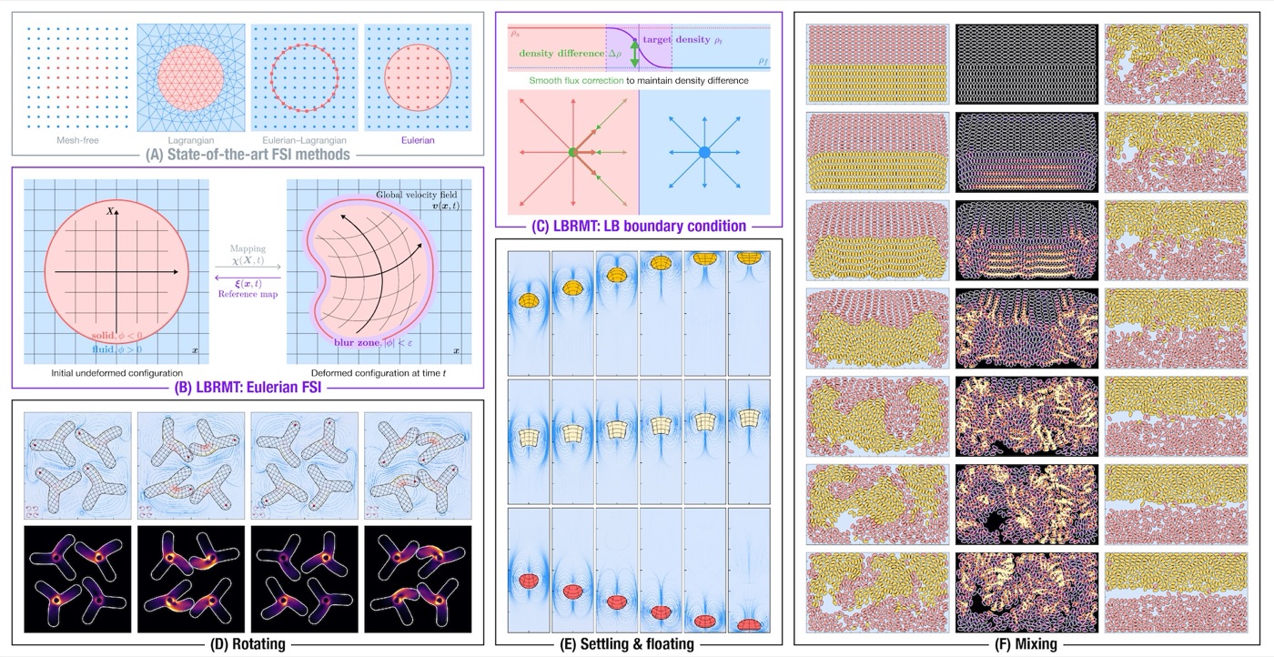 Lattice Boltzmann reference map technique simulations